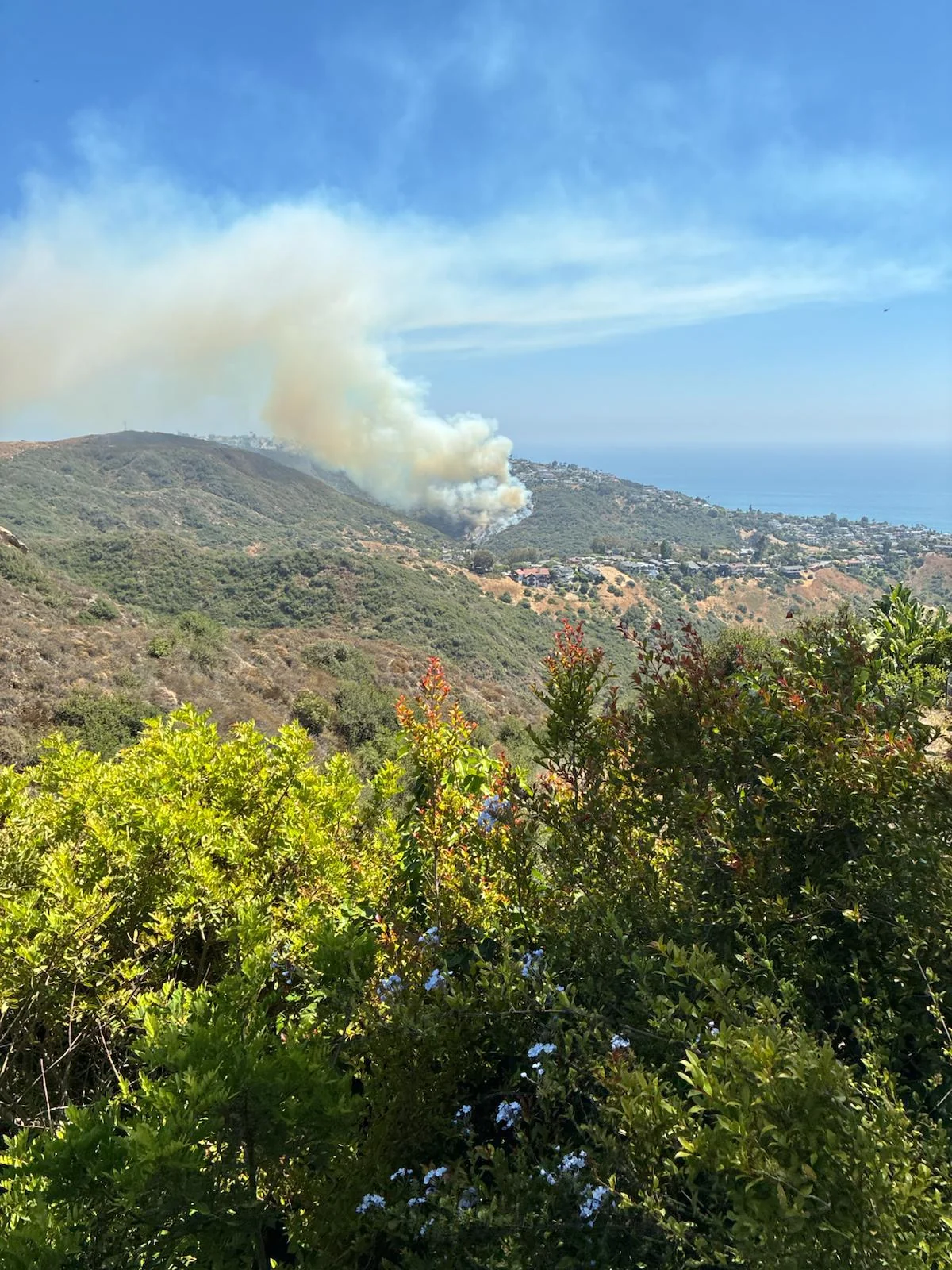 Wildfire in Laguna Beach